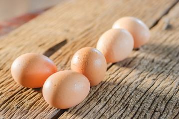 Fresh eggs