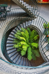 Spiral Stair in the building