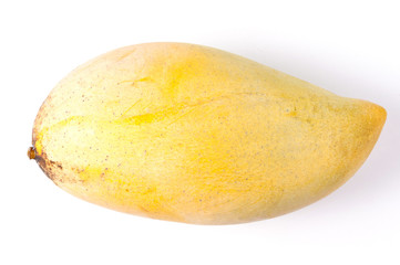 Mango isolated on the white background