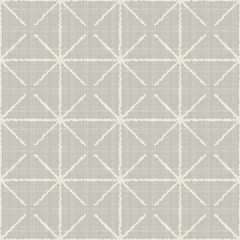 Fototapeta premium Texture with abstract elements