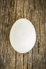 White Egg on wooden background