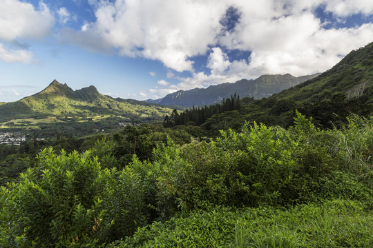 Mountains Along the Pali Highway at Nuuanu Pali State Park Oahu