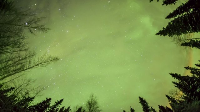Northern lights on the polar sky in Fairbanks