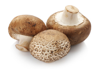 Brown cap mushrooms