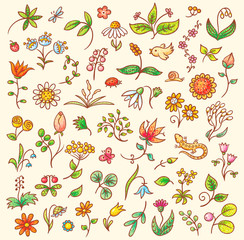 Floral Design Elements