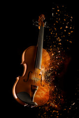 violin and bow isolated on black