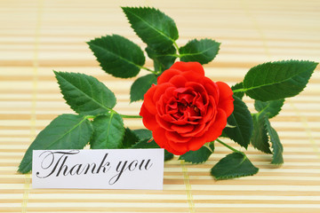 Thank you card with red wild rose