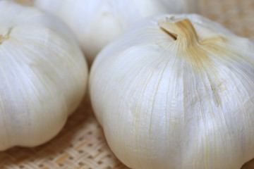 ニンニク　クローズアップ