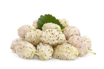 White mulberry fruit