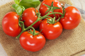 Fototapeta na wymiar grappe de tomates 18042015