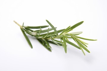 Fototapeta premium Rosemary on white backbround