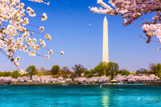 Washington, D.C. Washington Monument during spring.