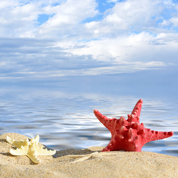 Color starfishes on sandy beach, travel concept