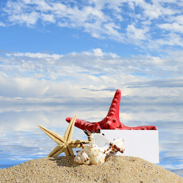 Seashells and starfish with blank card on sand beach