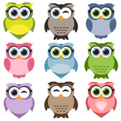 Fototapeta premium Cute owls set