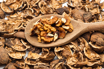 Walnuts on the wooden spoon
