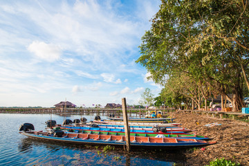 Fototapeta na wymiar thai boat in swamp at Talay-Noi Pattalung Thialand