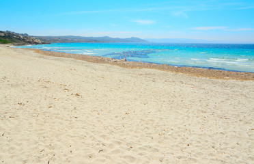 Fototapeta na wymiar turquoise water and white sand