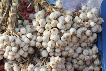 Garlic in the market for cooking