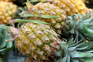 fresh pineapple in the market