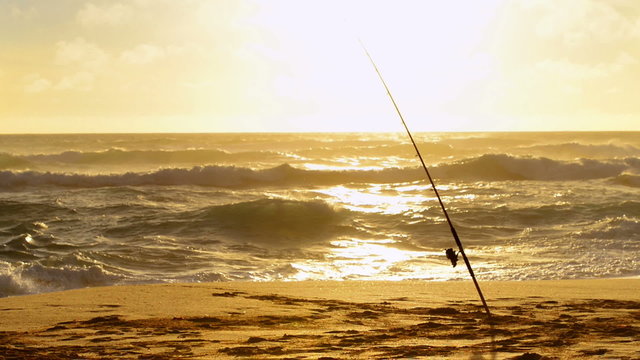 Fishing rods set up on beach shore at sunset