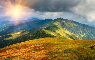 Beautiful summer landscape in the mountains. Sunset.