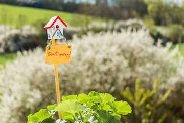 Happiness in blossom. Luxembourg