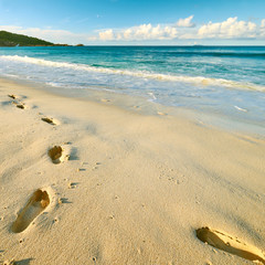 Footprints on sand at beautiful beach