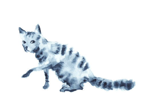 Watercolor grey tabby cat. Vector.
