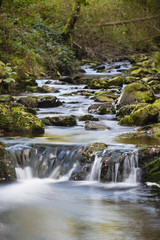 Autumn River Long Exposure, Belgium