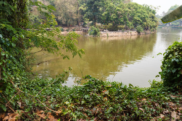 People are resting and feeding fish beside the lake