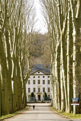 tree- lined avenue