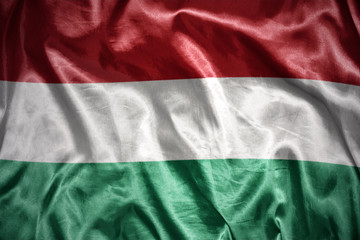 shining hungarian flag