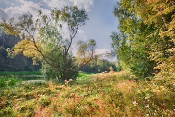 Summer landscape with river