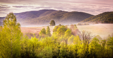 Forest and mountains landscape © Maciej Czekajewski