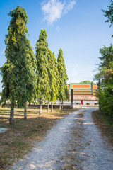 road into the temple 