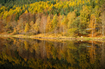 Sankenbachsee, Baiersbronn