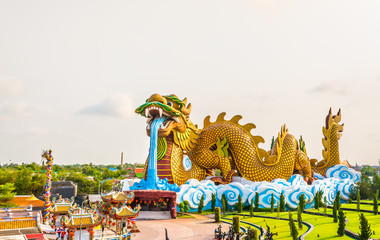 Huge dragon statue background