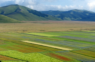 Piano Grande di Castelluccio (Italy)