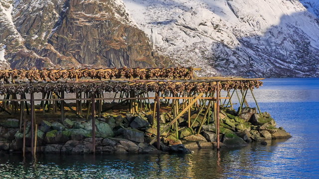 dried cod fish norway