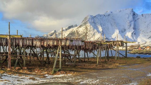 dried cod fish norway