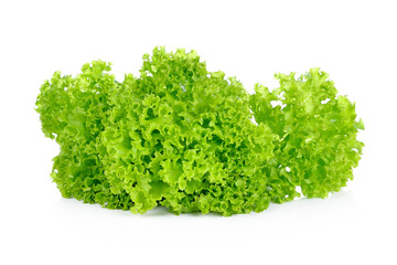 Fresh green lettuce isolated on a white
