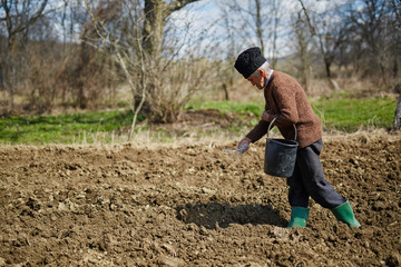 Senior man spreading fertilizer