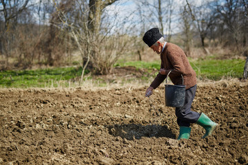 Senior man spreading fertilizer