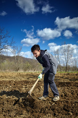Fototapeta premium Teenager boy with a hoe sowing potatoes