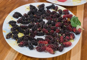 Fresh Mulberry in Plate on Wooden Background