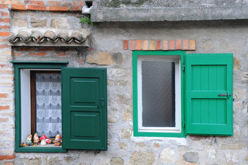 Two Windows with Green Shutters