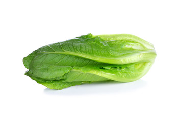 Fresh cos lettuce on white background