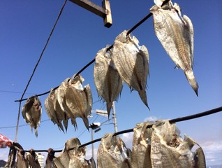 美味しそうな干物