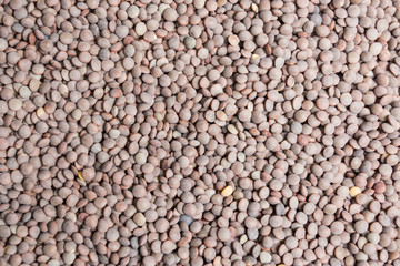Lentils background